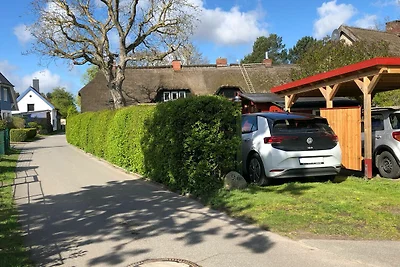 Darßer Ferienkate