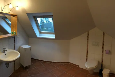 Graureiher