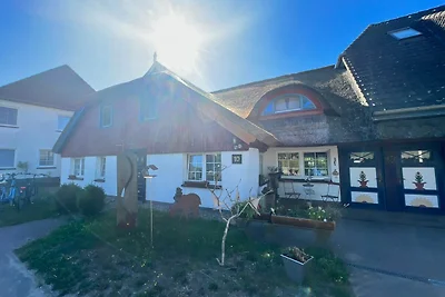 Pension Martens - Paul