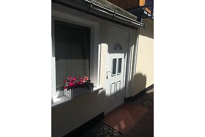 Kleine Möwe