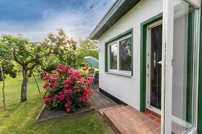 Am Bodden Krapp´s - Apartment