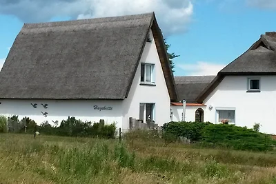Hagebutte
