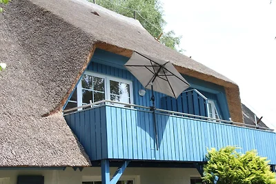 Seeschwalbe