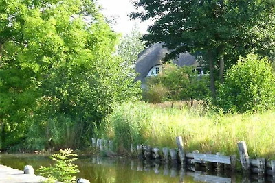 Boddenparadies - Baltija