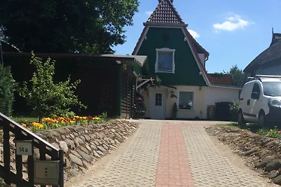 Kleine Möwe