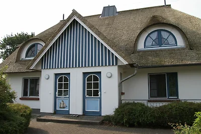 Zeesenkoje