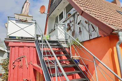 Lachmöwe
