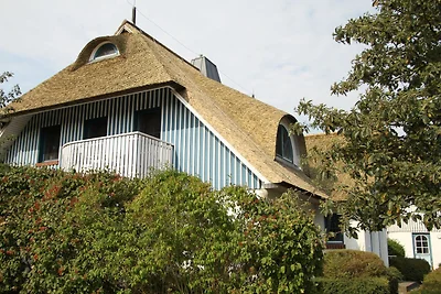 Zeesenkoje