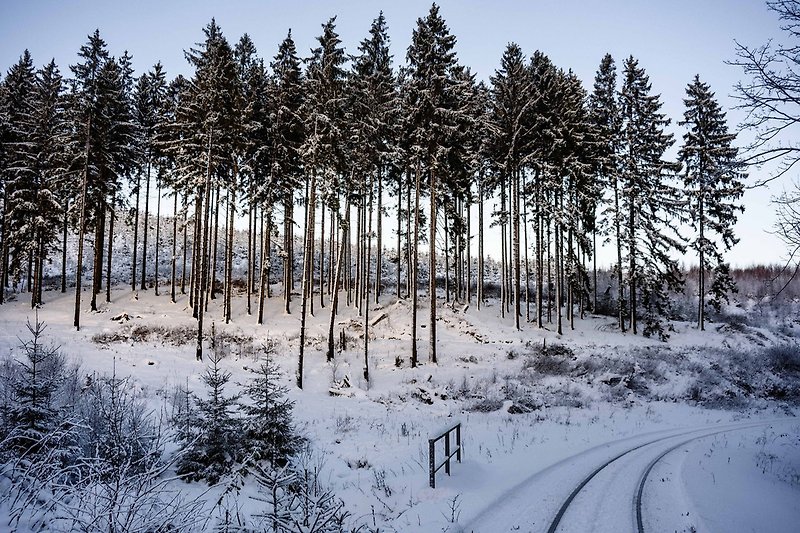 winterlicher Harz