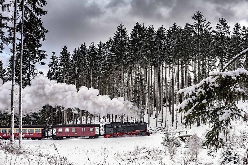 winterlicher Harz