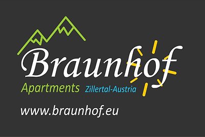 Braunhof Apartamento Ziller
