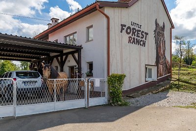LITTLE FOREST RANCH