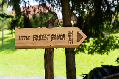 LITTLE FOREST RANCH