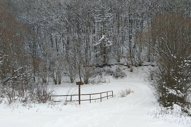 Winterlandschaft mit verschneitem Wald, frostigen Bäumen und vereisten Wegen.