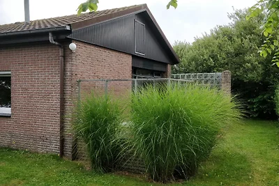 Nord Holland Julianadorp  Orchis 10