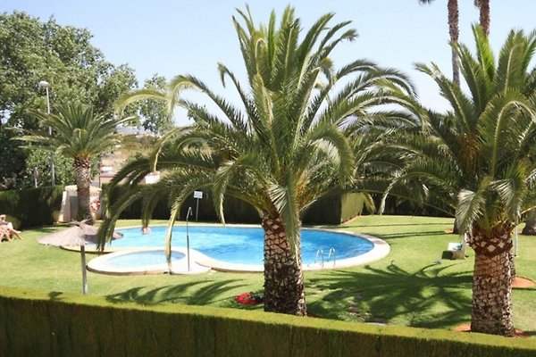 Vakantieappartement Denia