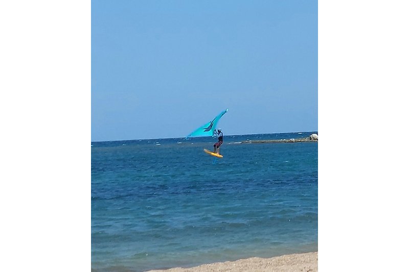 wingfoil surfer