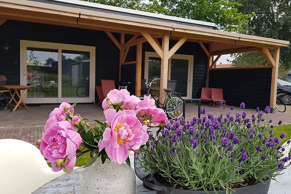 Ferienwohnung Ouddorp