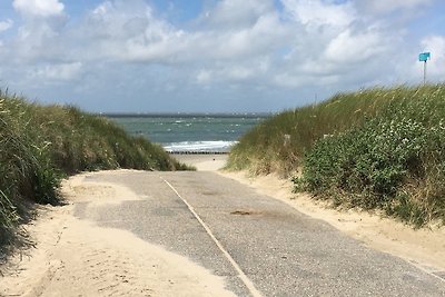 Zon op Zuiden