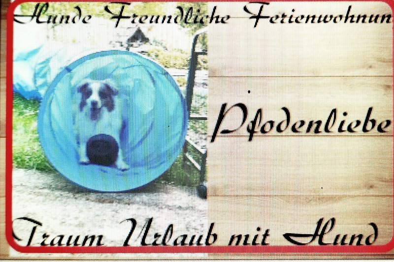 Gemütliches Ferienhaus mit fröhlichem Hund, blauer Grafik und lächelndem Besitzer.