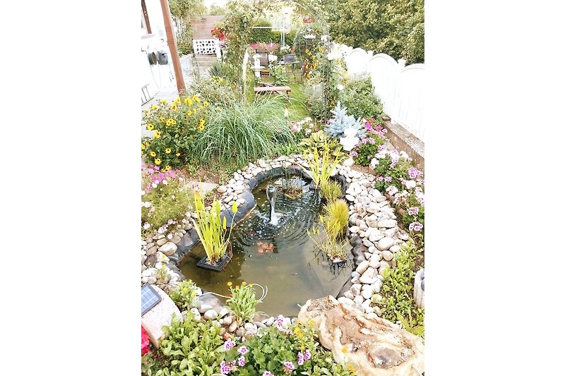 Schöner Garten mit blühenden Pflanzen und Wasserfeature.