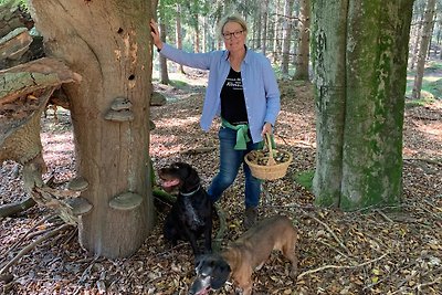 Altes Jagdhaus Vrees im Emsland