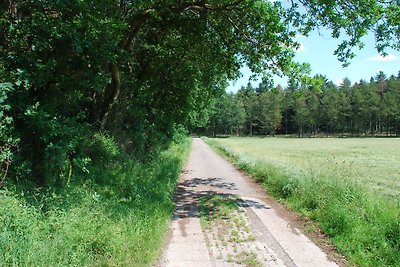Altes Jagdhaus Vrees im Emsland