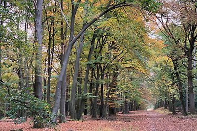 Altes Jagdhaus Vrees im Emsland