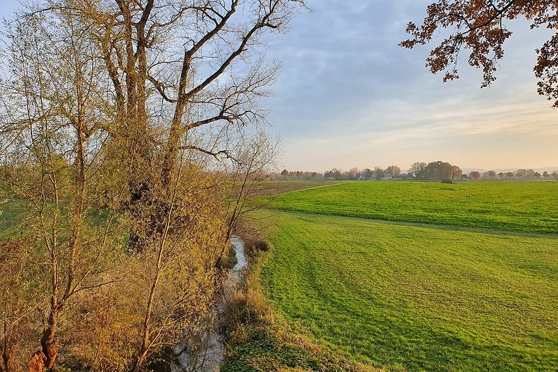 Umgebung