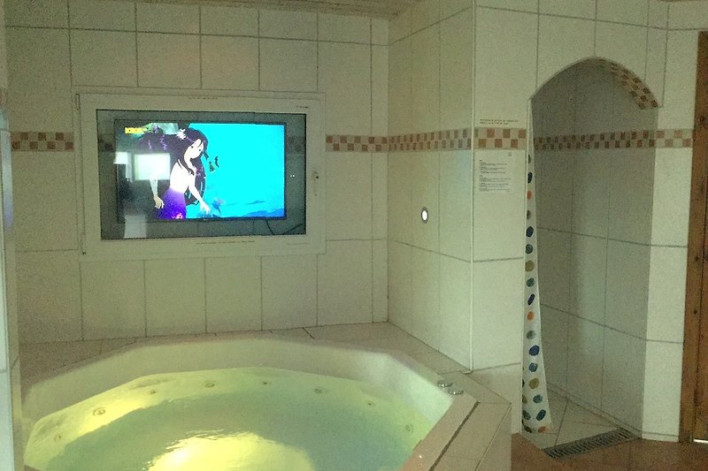 TV und extra Dusche im Poolraum