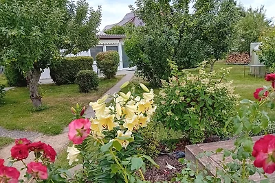 Vakantiewoning - Regio Dresden