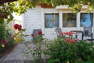 Vakantiewoning - Regio Dresden