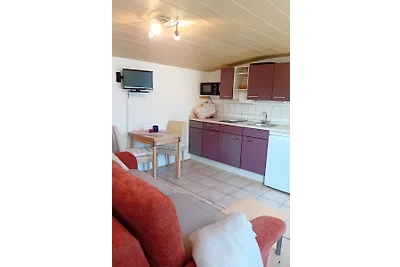 Vakantiewoning - Regio Dresden