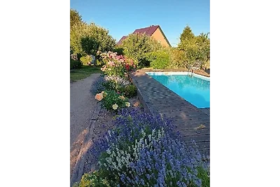 Vakantiehuis - regio Dresden