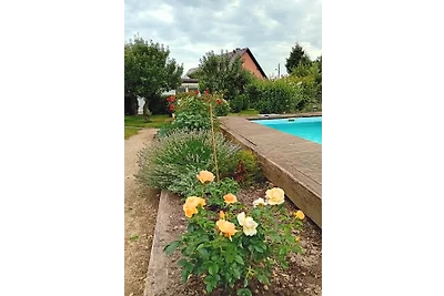 Vakantiewoning - Regio Dresden