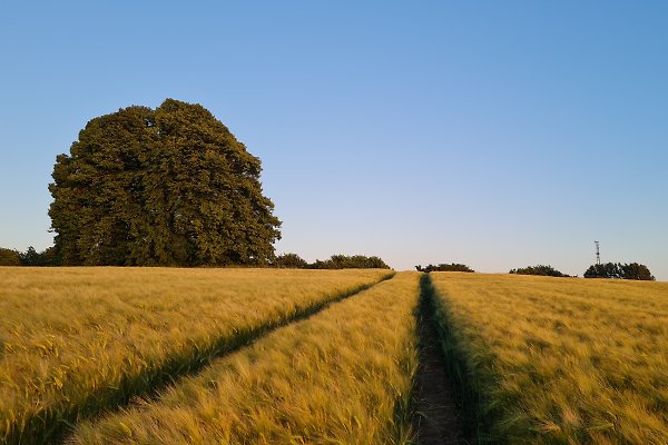 Ferienhaus Grevesmühlen