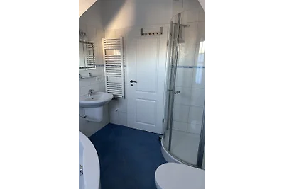 Ferienhaus Wiking