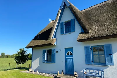 Ferienhaus Wiking