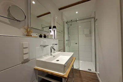 Lachmöwe by DeJu Norderney 4****DTV