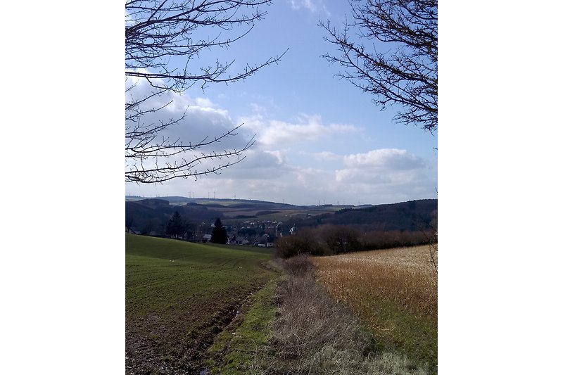 Blick auf die Hügel der Westeifel