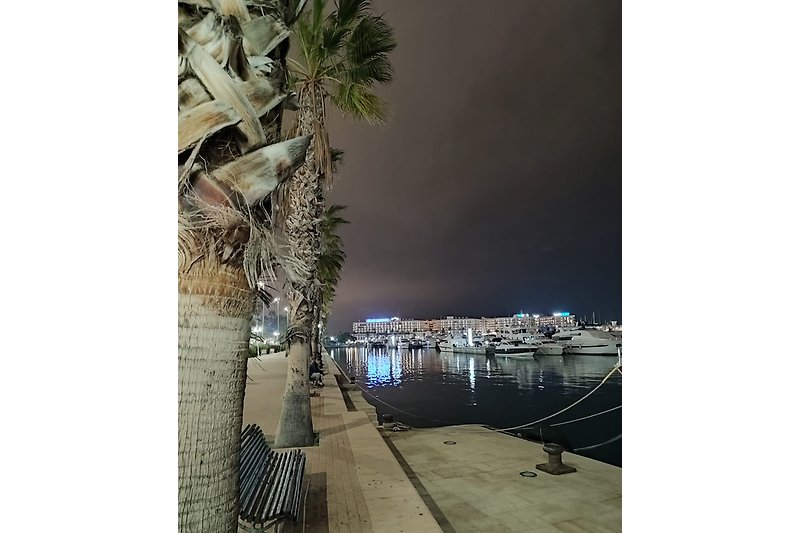 Alicante Hafen bei Nacht
