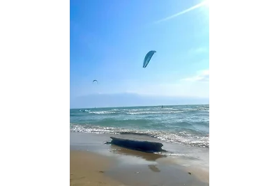 Ferienwohnung La Camargue
