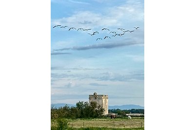 Vakantiehuis Ontspannende vakantie Nimes