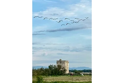 Ferienwohnung La Camargue