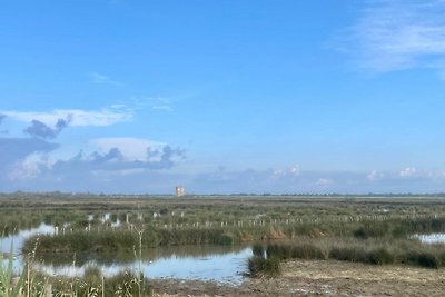 Ferienwohnung La Camargue