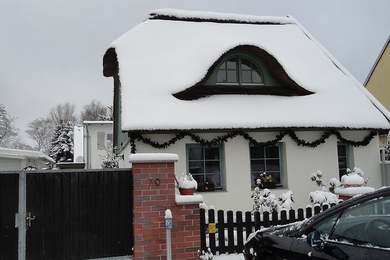 Winterliches Haus mit verschneitem Garten und frostigen Bäumen.