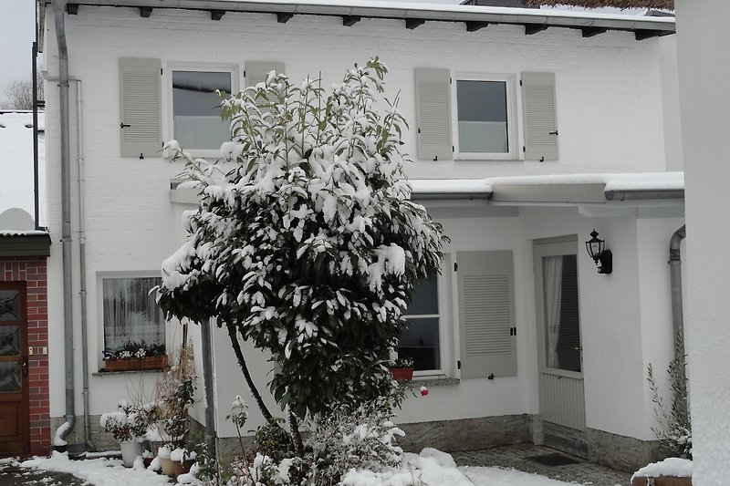 Winterliches Haus mit verschneitem Garten und frostigen Bäumen.