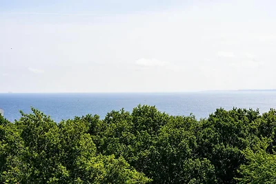 Panoramic Dünenlicht