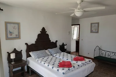 Casa Mojo