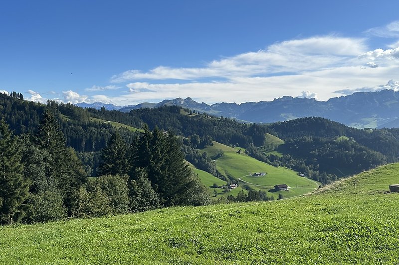 Ausblick in die Appenzeller Bergen von der Hohen Buche ob Trogen